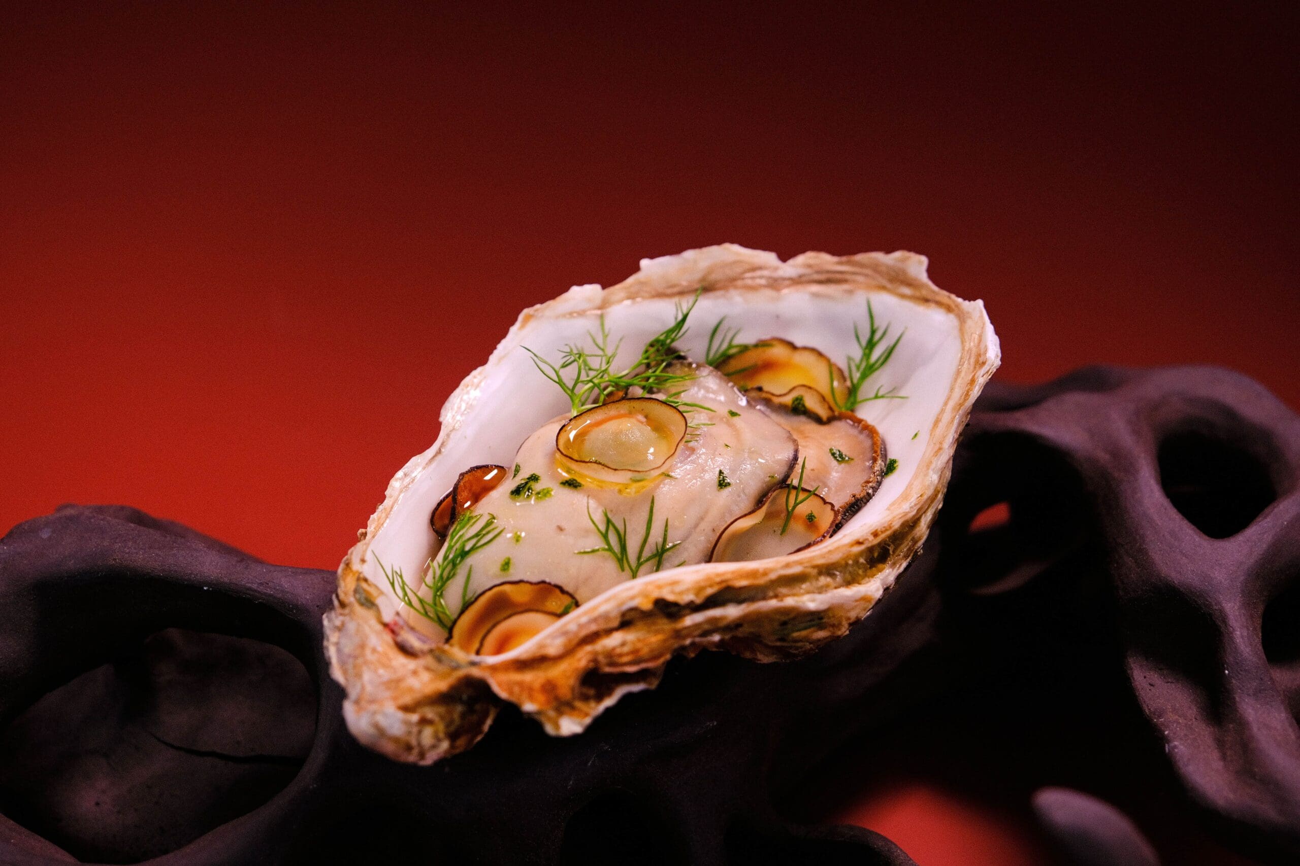 Talent Spotlight: Leyu Li & the Mulus Fine Dining Guide